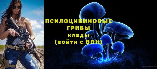 PSILOCYBIN Волоколамск